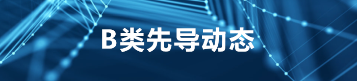 B类先导动态